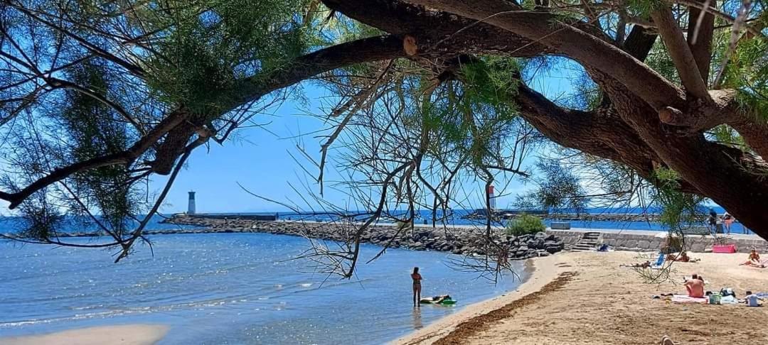Le Coeur Des Sables Lägenhet Le Grau-dʼAgde Exteriör bild